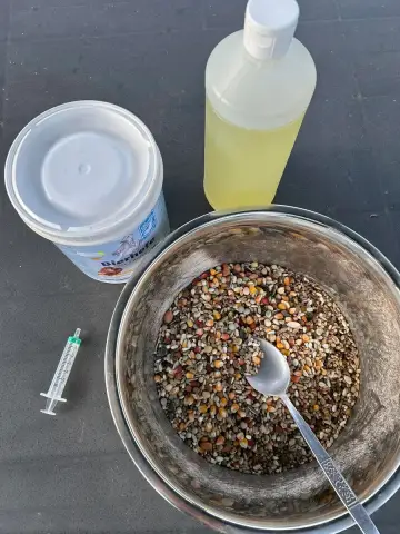 Vijf duiven onderweg naar Sint-Vincent. Wekelijks krijgen ze allicine met biergist over het voer — zo is er geen antibiotica nodig voor het geel en de luchtwegen.